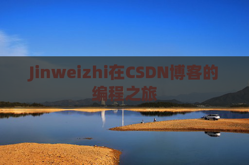 Jinweizhi在CSDN博客的编程之旅